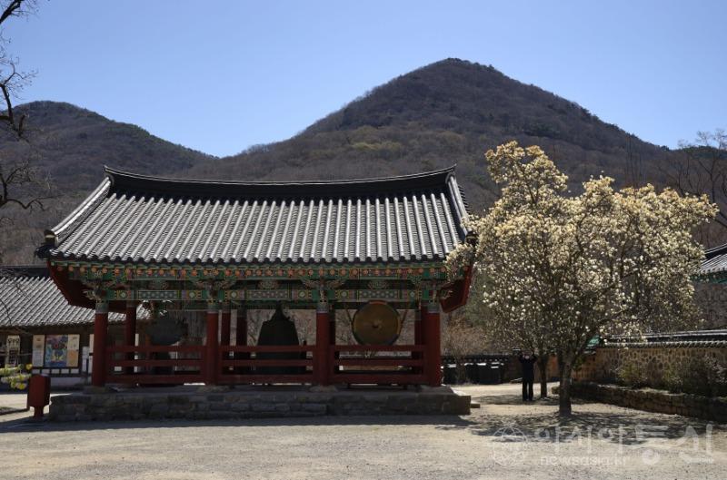 선119.jpg