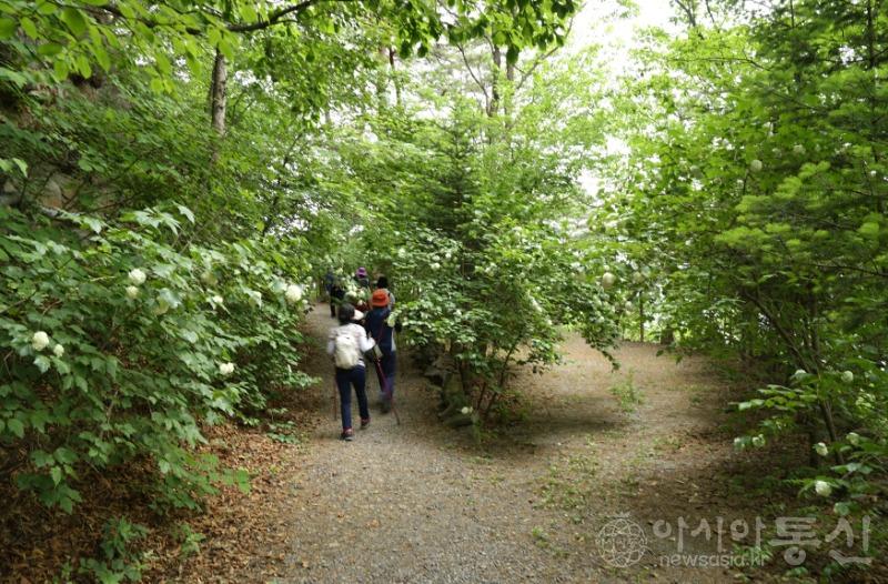 산17.jpg