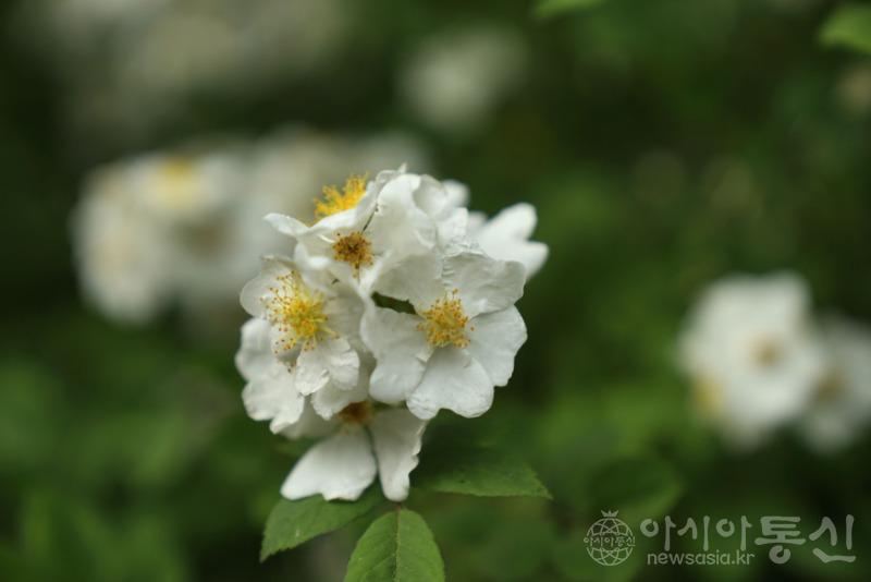 산41.jpg