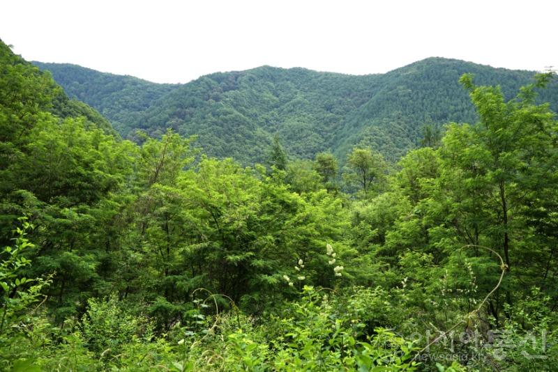 산47.jpg