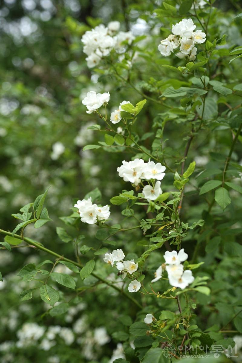 산53.jpg