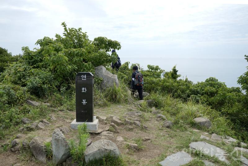 연74.jpg