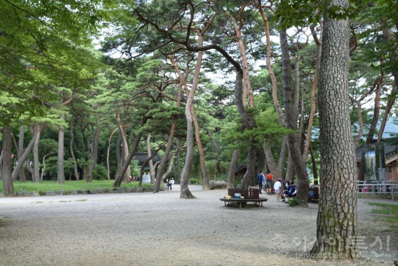내167.jpg