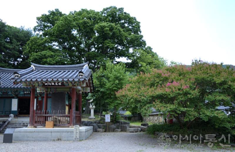 내181.jpg