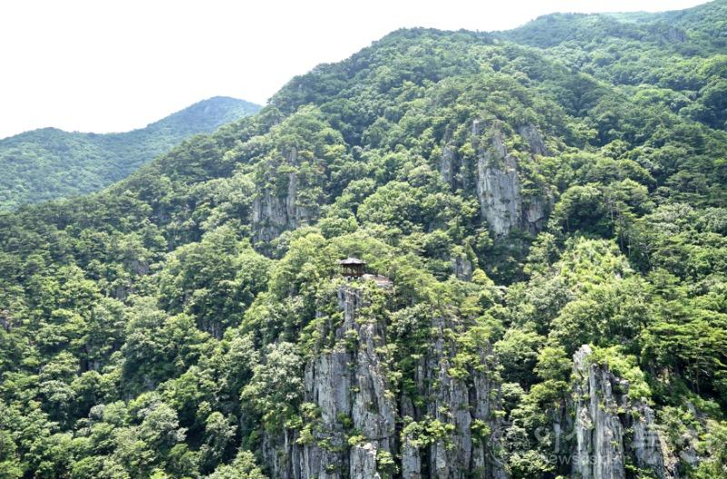 내42(작).jpg