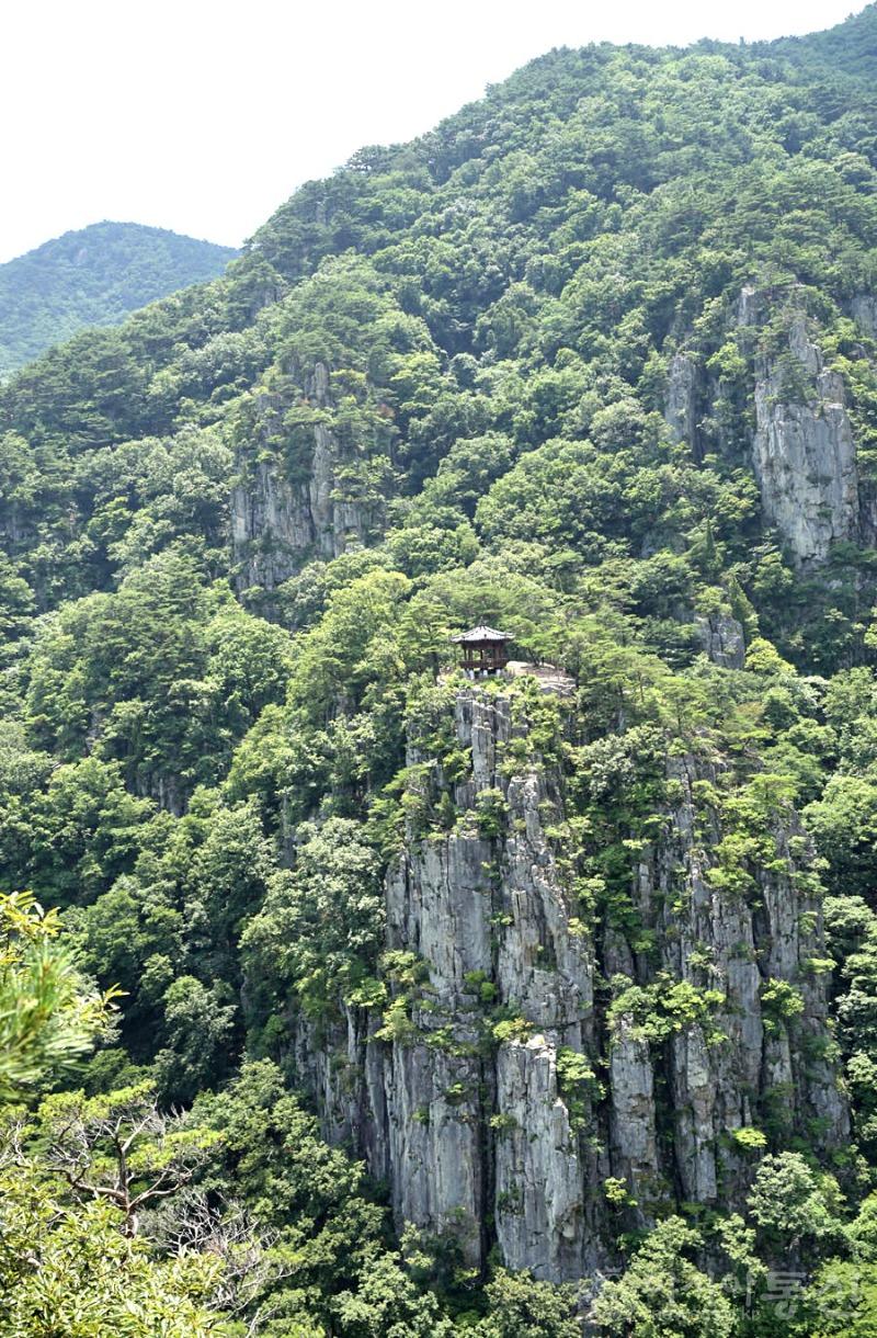 내41(작).jpg