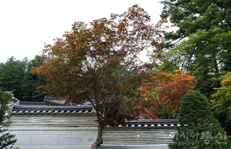 월8.jpg