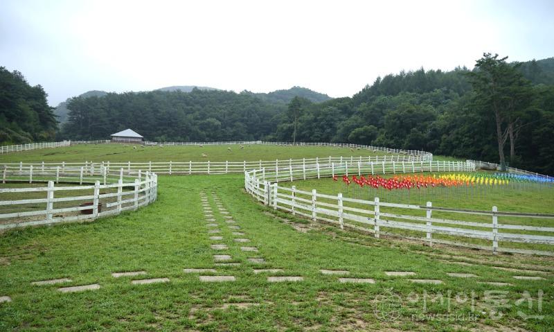 양2(작).jpg
