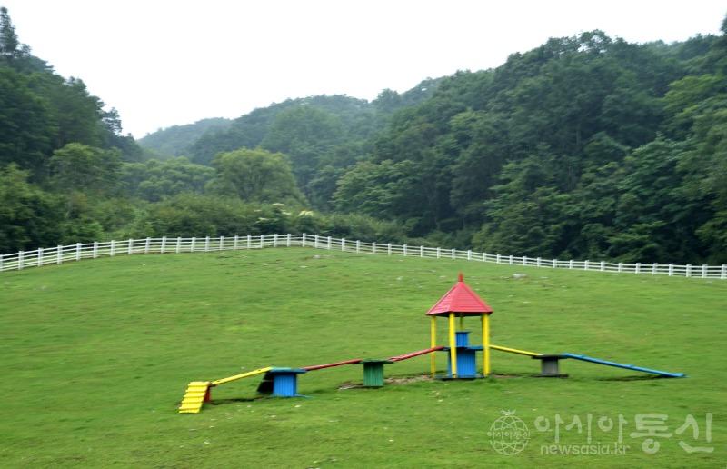 양14.jpg