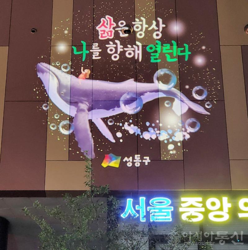 성동구 감성 빛글씨 (2).jpg