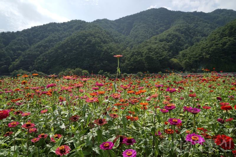 평7.jpg