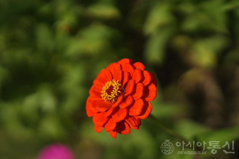 평8.jpg