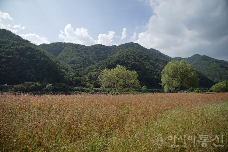 평34.jpg