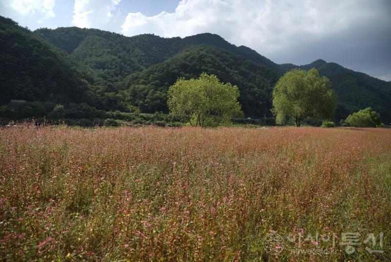 평56.jpg