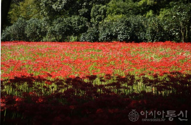 선10.jpg