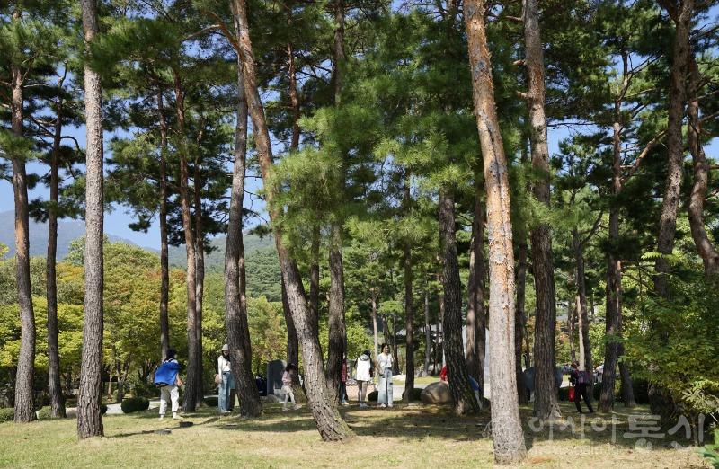 용52.jpg