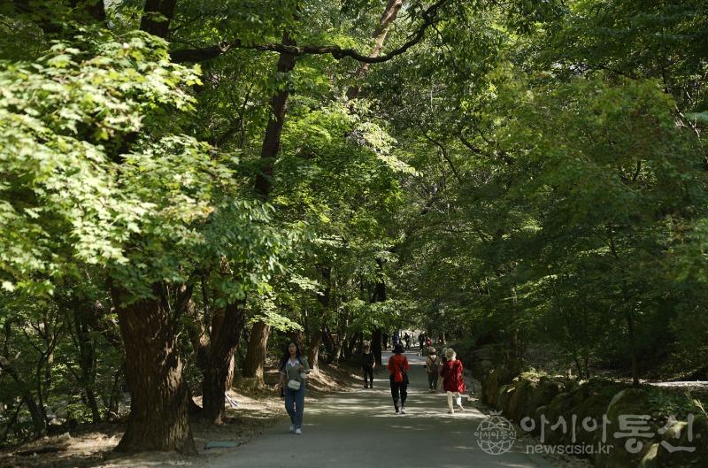 용43.jpg