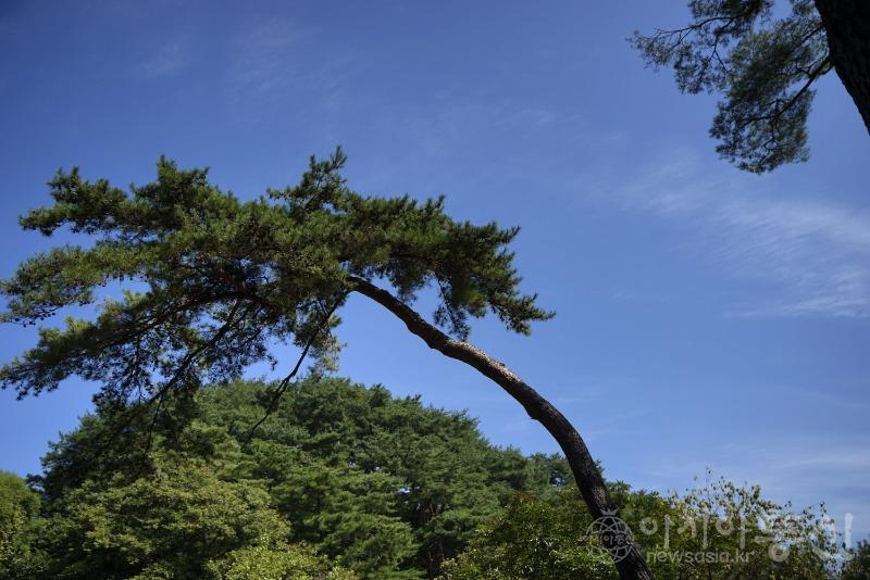 용45.jpg