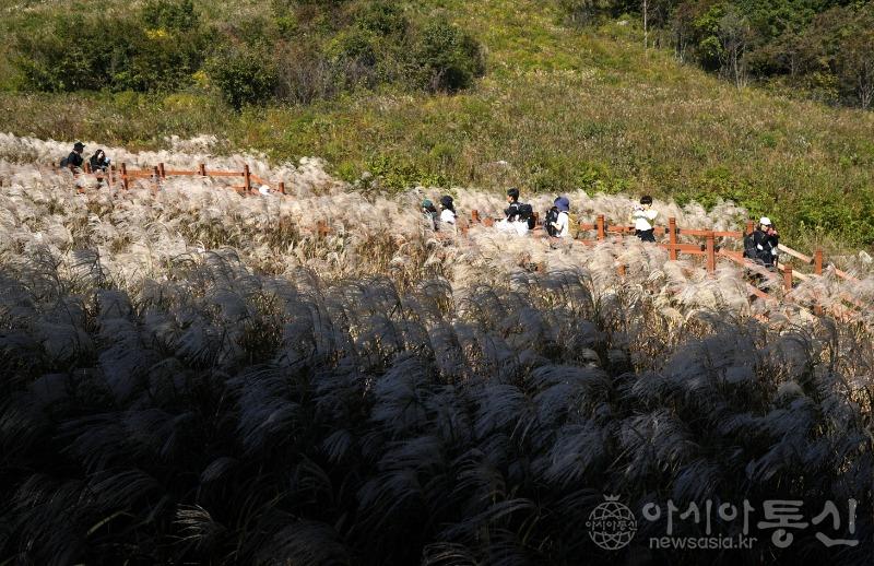 명58.jpg