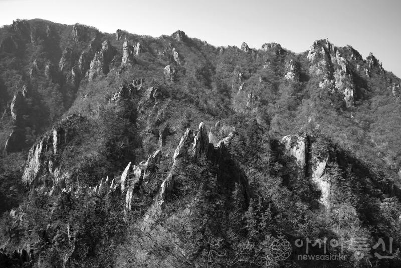 흘48(작).jpg
