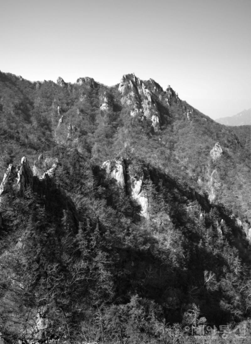 흘47(작).jpg