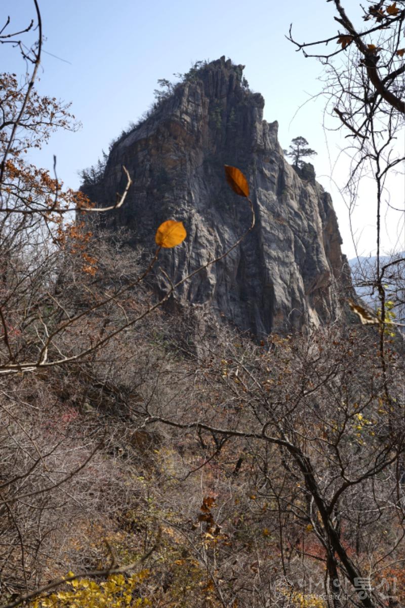 흘72.jpg