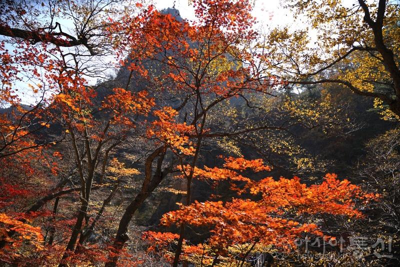 주14.jpg