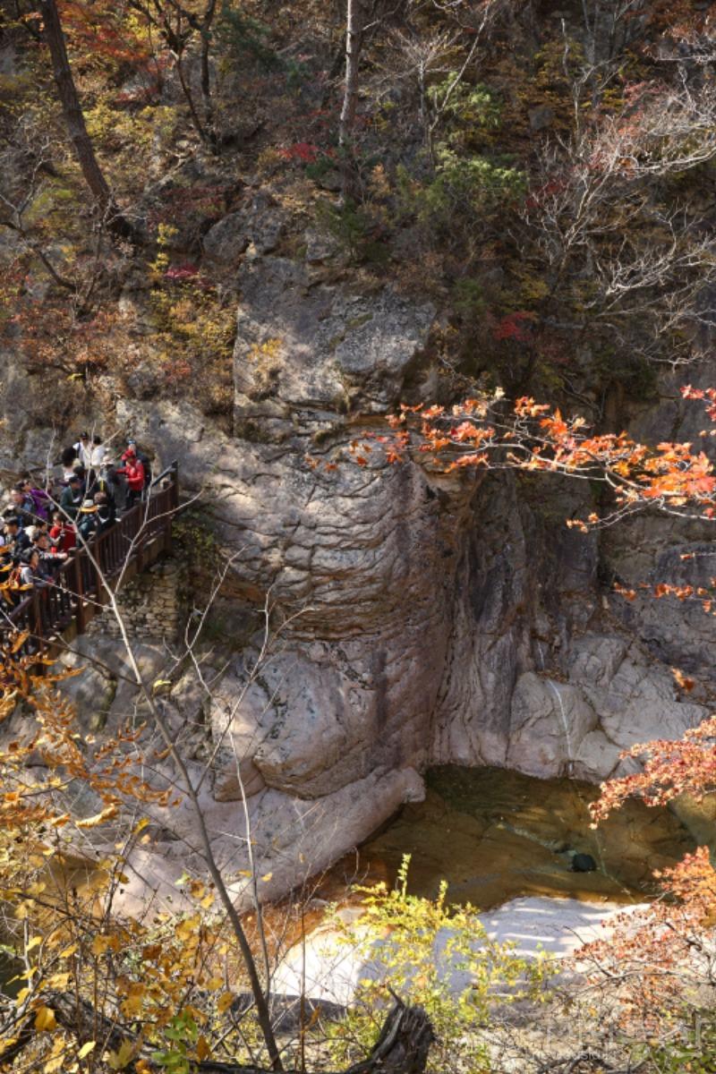 주17.jpg