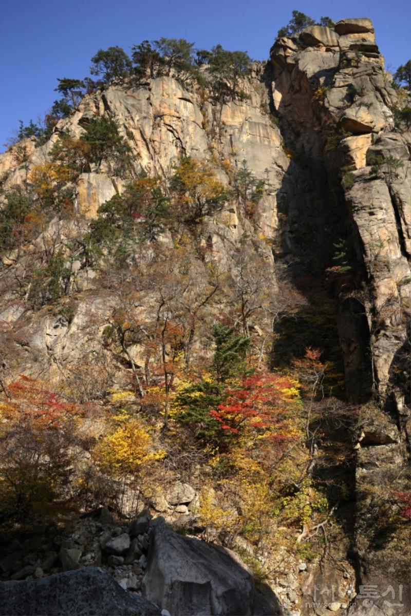 주26.jpg