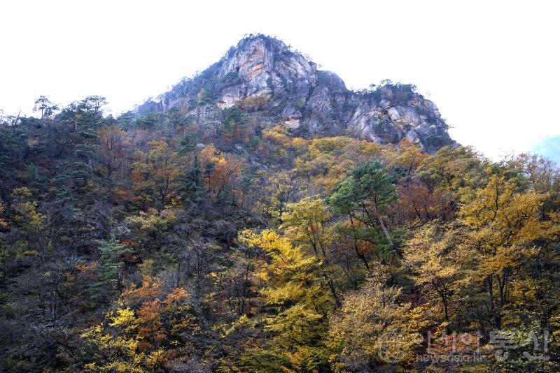 주39.jpg
