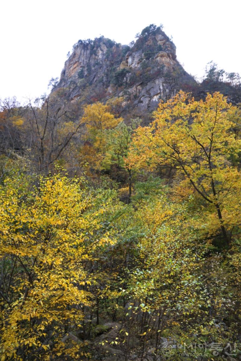 주28.jpg