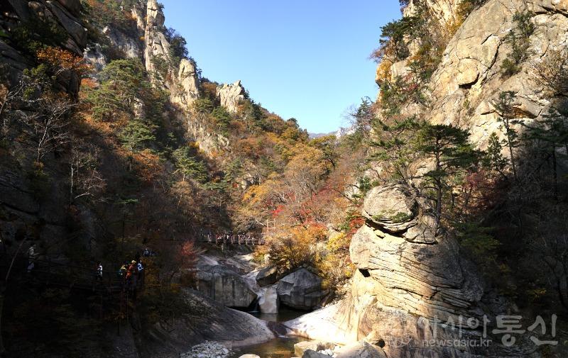 주36.jpg