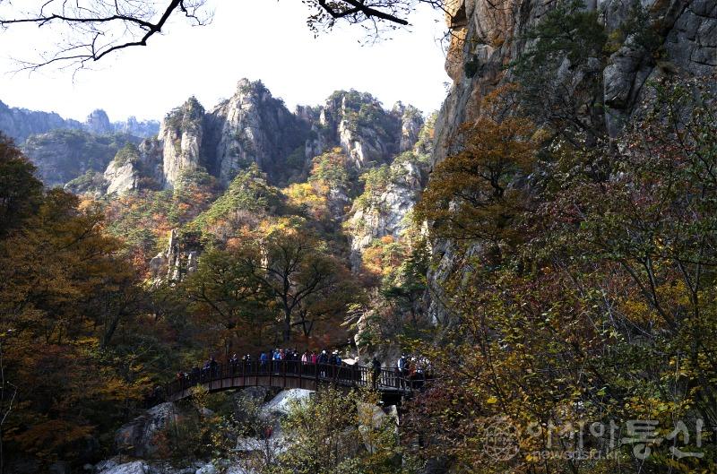 주41(작).jpg