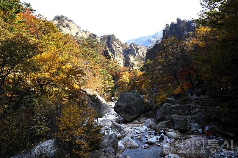 주49.jpg