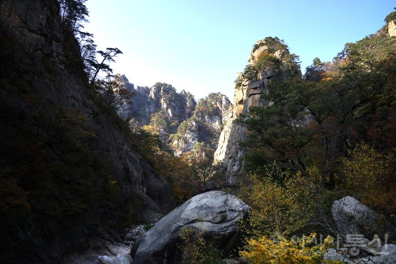 주50.jpg