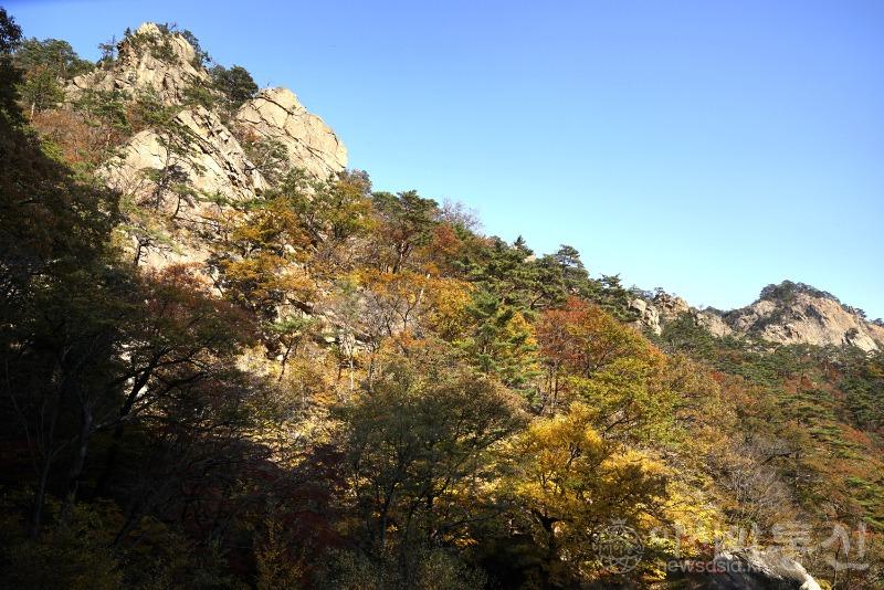 주51.jpg