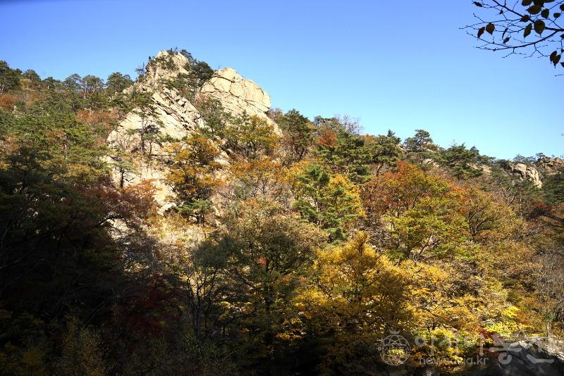 주52.jpg