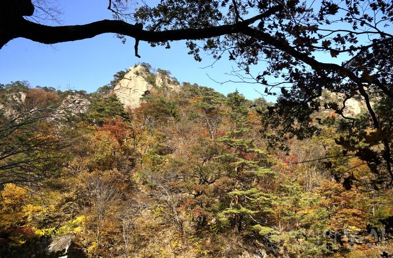 주58.jpg