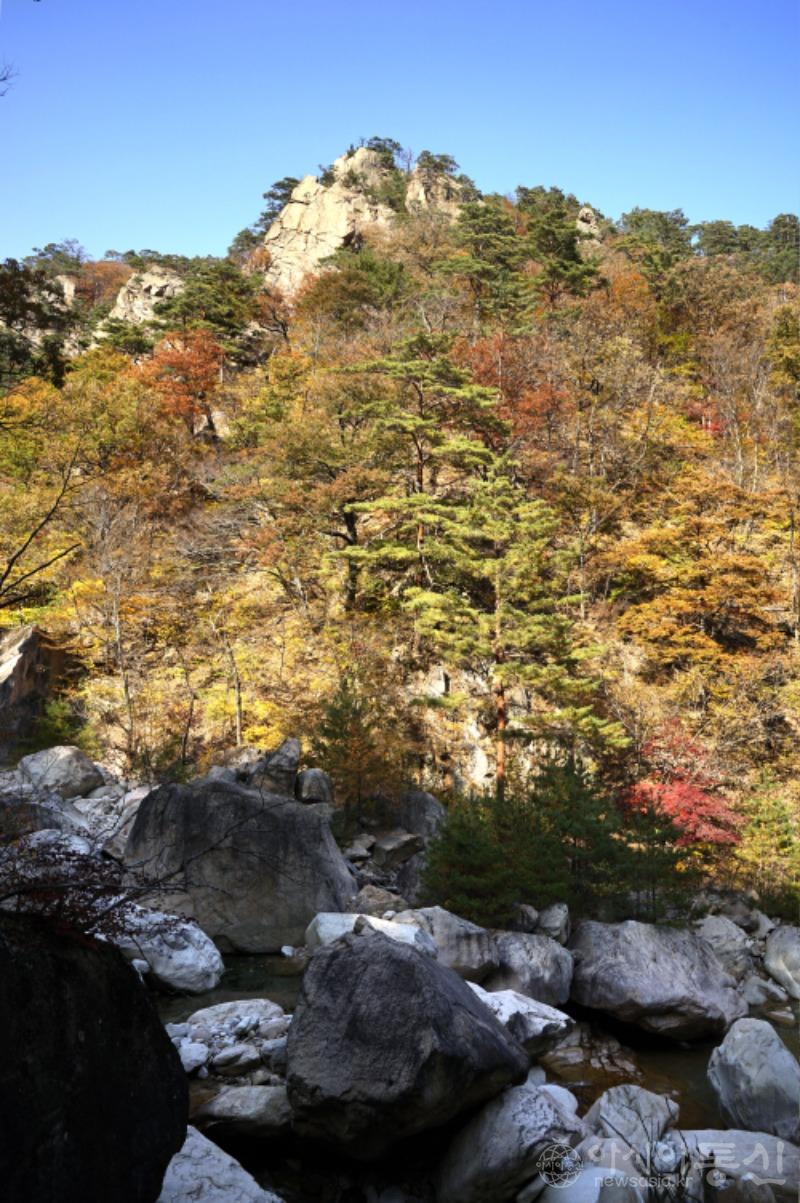주59.jpg