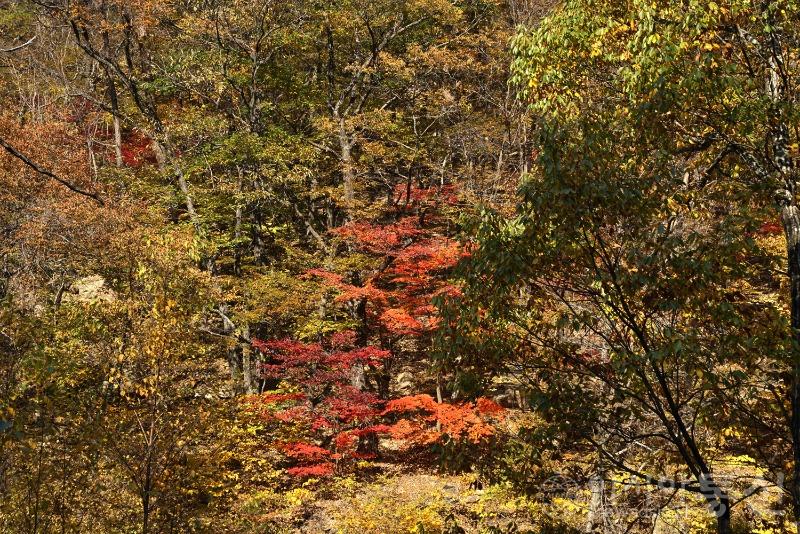 주61.jpg