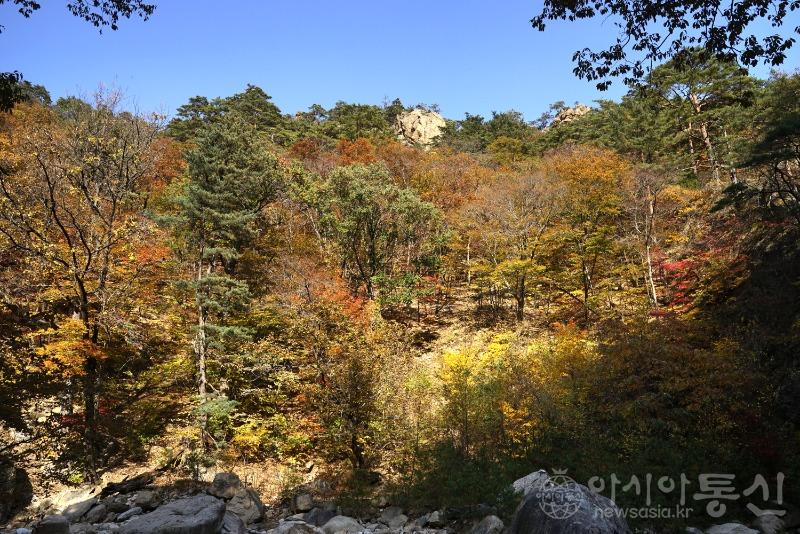 주62.jpg