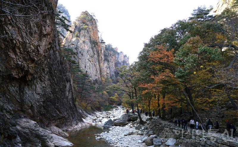 주86.jpg