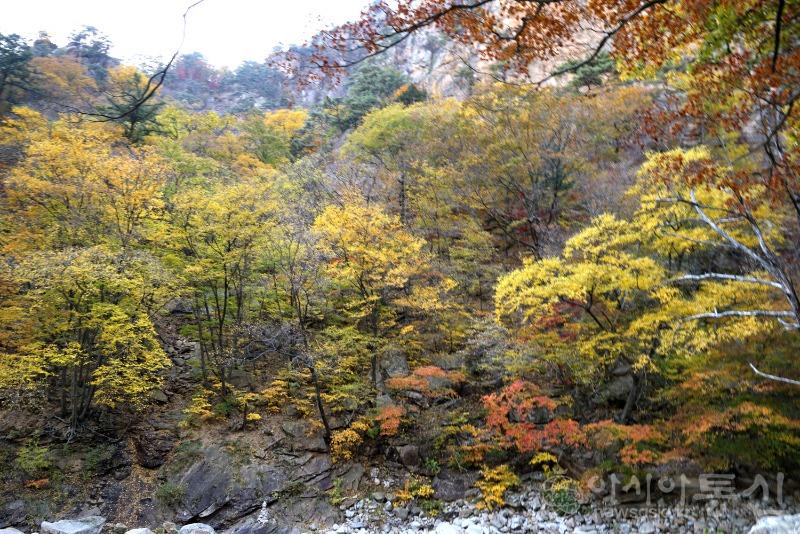 주80.jpg