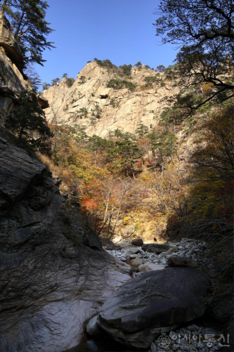 주81.jpg