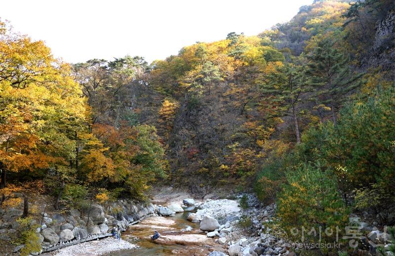 주87.jpg