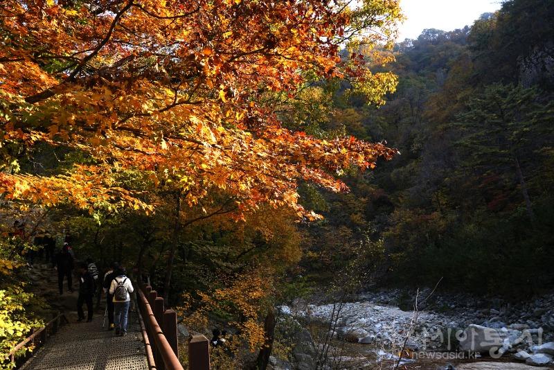 주88.jpg