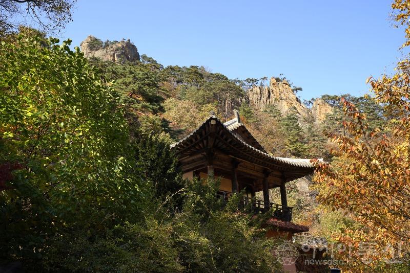 주89.jpg