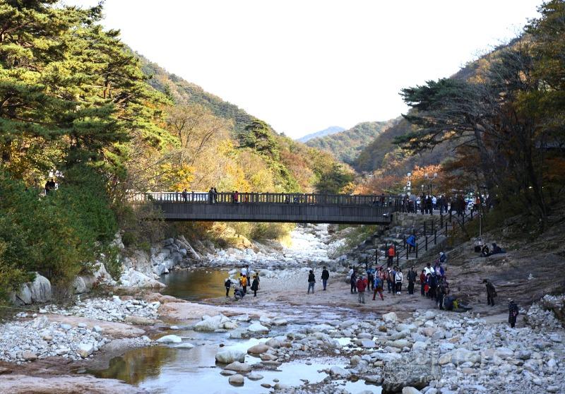 주93.jpg