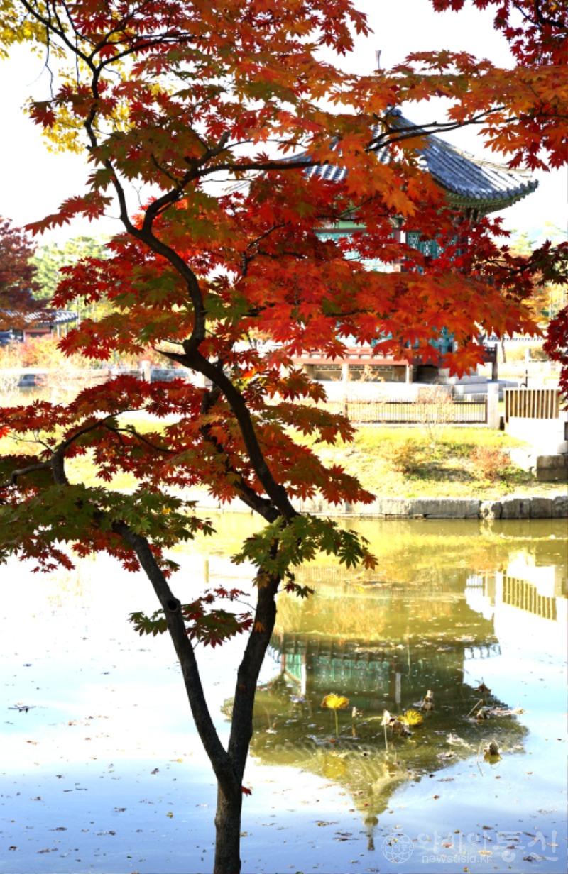 경34(작).jpg