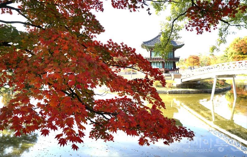 경42(작).jpg